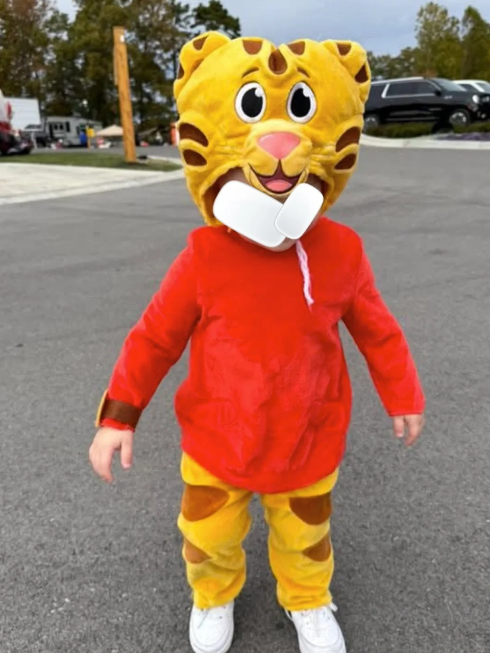Toddler Daniel Tiger Costume